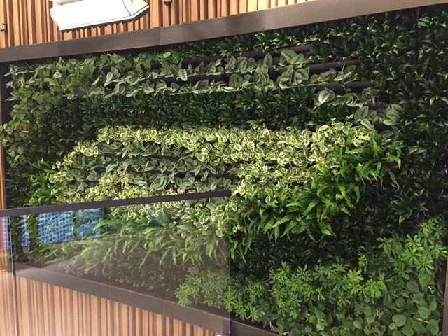 Living Wall Projects – Los Angeles